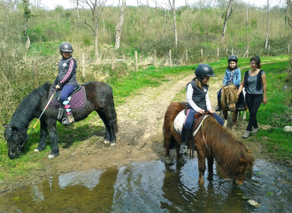 Chemins de randonnées