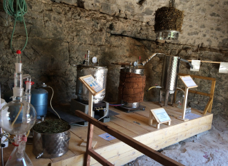 Distillerie du Bois de Païolive : Huilles essentielles et plus encore...