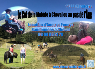 Le Col de la Molède à cheval ou au pas de l'Ane