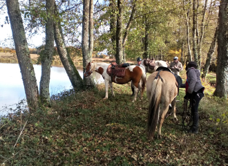 Balade à cheval 2h